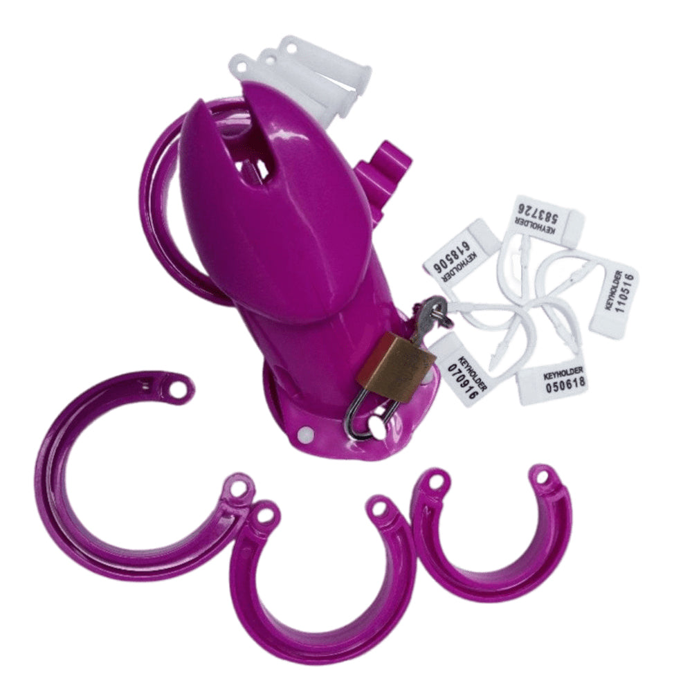 Denial In Purple Sissy Chastity Cage Lock The Cock Cage Product For Sale Image 8