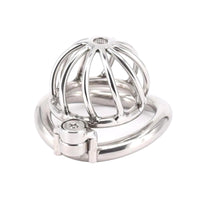 Kneel before your domina and embrace the brutal weight of this silver stainless steel cage. Perfect for intense sessions, its discreet design ensures even your neighbor won't notice a thing.
