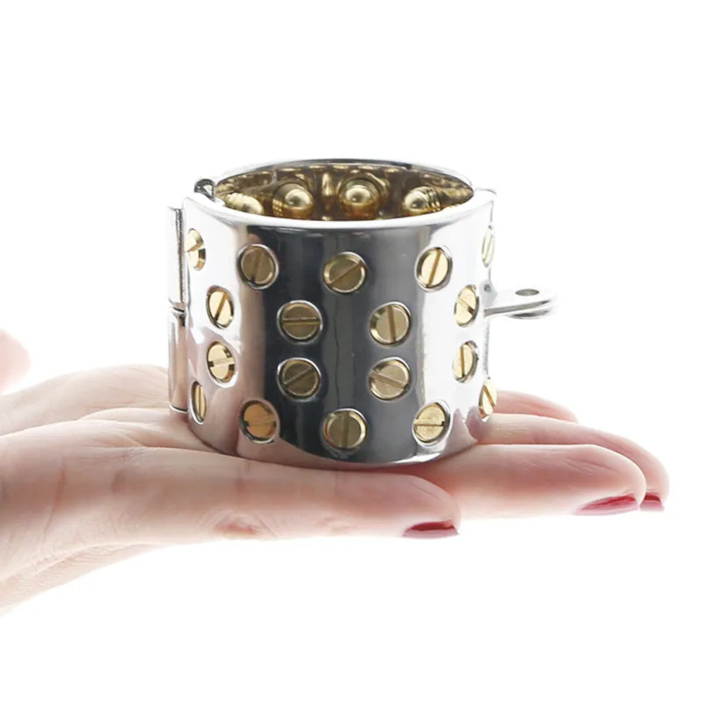 Experience ultimate control with our cage steel device quick to lock and impossible to escape. This Houdini of devices combines the safest styles with superior craftsmanship. Read our review to discover how it transforms intimacy.