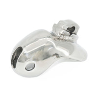 Mistress's Chastity Constant Steel Cage Reminder