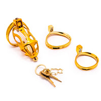 Experience unmatched security with the Sevanda Golden cage. Its strong golden metal won't trigger airport detectors, ensuring a hassle-free passage through TSA. Includes security tags for peace of mind.