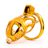 Sevanda Golden Chastity Cage