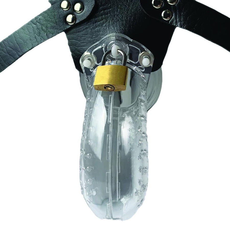 Clear Chastity Cage Belt