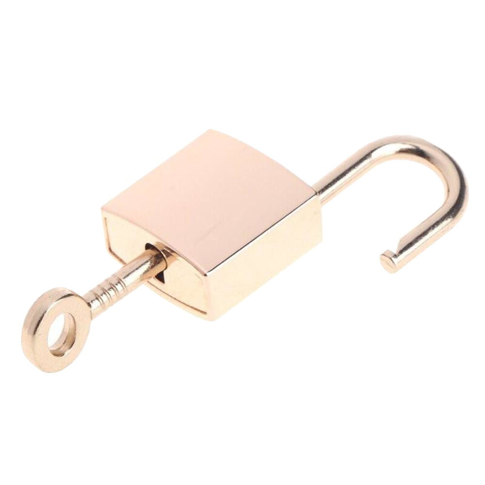 Premium Polished Finish Male Chastity Padlock Lock The Cock Cage Product For Sale Image 2