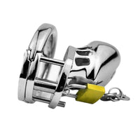 Pinned Prince(ss) Metal Lock Lock The Cock Cage Product Image 15