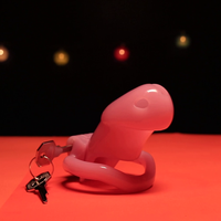Quickly enhance your feminine side with the flat penis cage's discreet lock. Peek at your boyfriend's react as you share pics, embracing feminization in style and comfort.