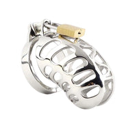 Unlock intense power dynamics with this silver chastity pod, designed for seamless wear. Complete control with three keys ensures commitment. The perfect balance of exposure and restraint.