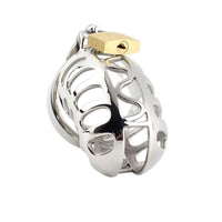 Discover the perfect blend of aesthetic and function with this intricately molded stainless steel chastity model. Featuring ergonomic tubes and secure pros, it expertly balances restraint and exposure.