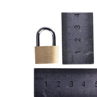 Upgrade your BDSM experience with our High-Quality Brass Replacement Padlock. Perfect for securing lingerie-inspired accessories, this padlock features an elegant print design and comes with dual keys. Complete your shopping with this essential addition.