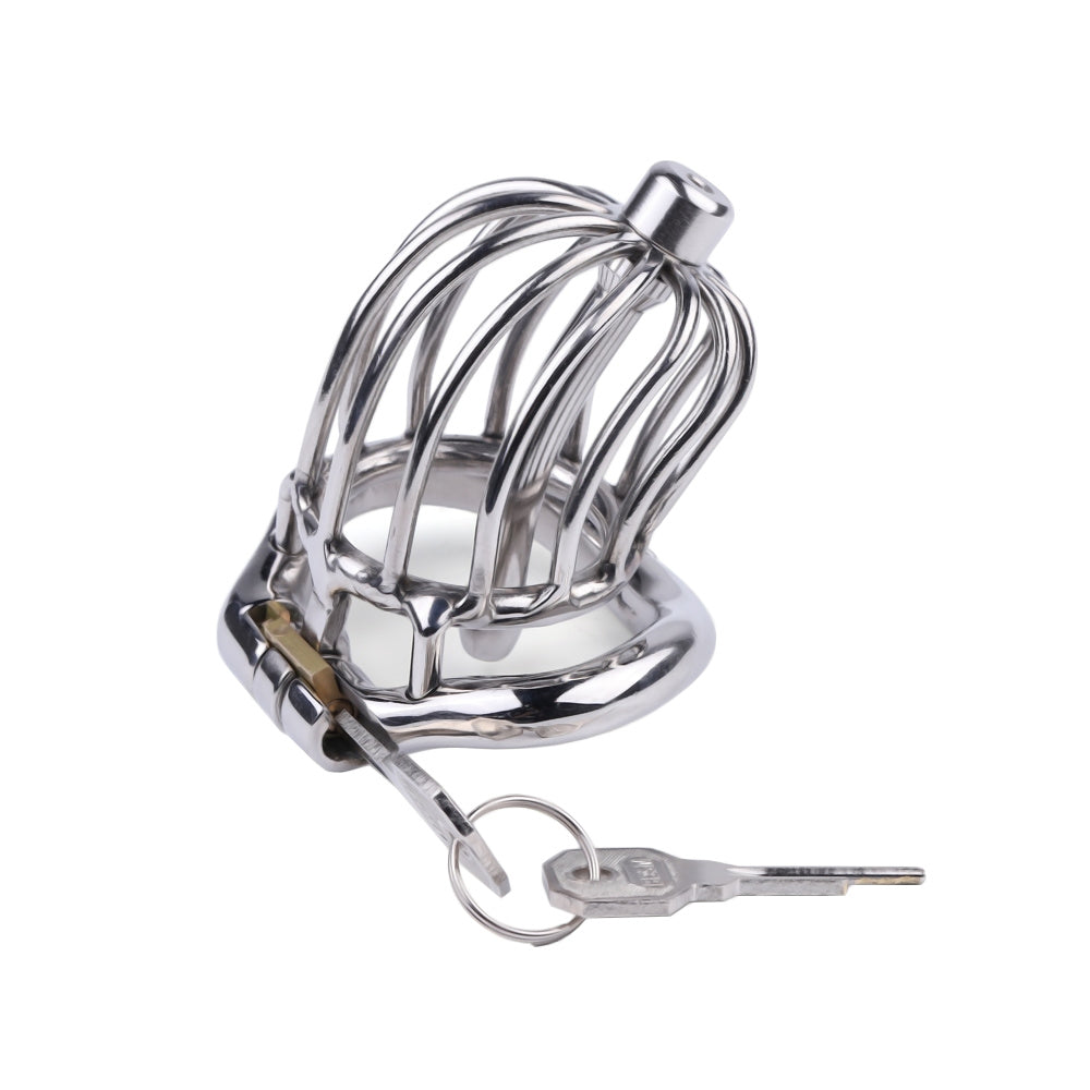 View the Pleasurable Pain Urethra Cock Cage image showcasing the birdcage design, urethral catheter tube, and included brass padlock for ultimate chastity.