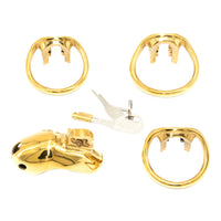Image of the Holy Trainer V3 in gold, a luxury chastity device fit for a king.