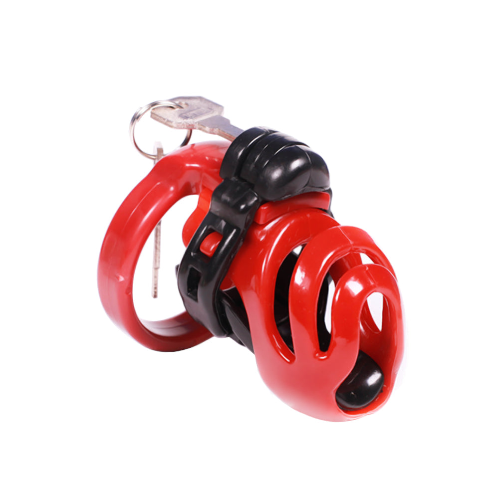 Experience extreme control with our resin cage a chastity belt female dominants adore. Perfect for demos or orgies, its secure locking program ensures restraint. Personalize it with your logo for a unique touch.