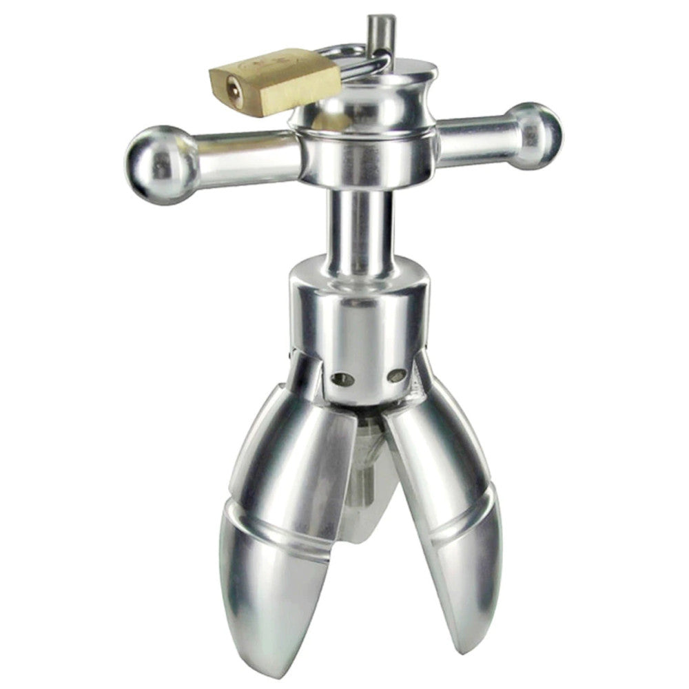 The Stretcher Locking Chastity Plug Lock The Cock Cage Product For Sale Image 1