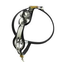Locking Anal Metal Chastity Device Belt Lock The Cock Cage Product Image 11
