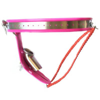 Sissy Harness Metal Chastity Belt Lock The Cock Cage Product Image 17