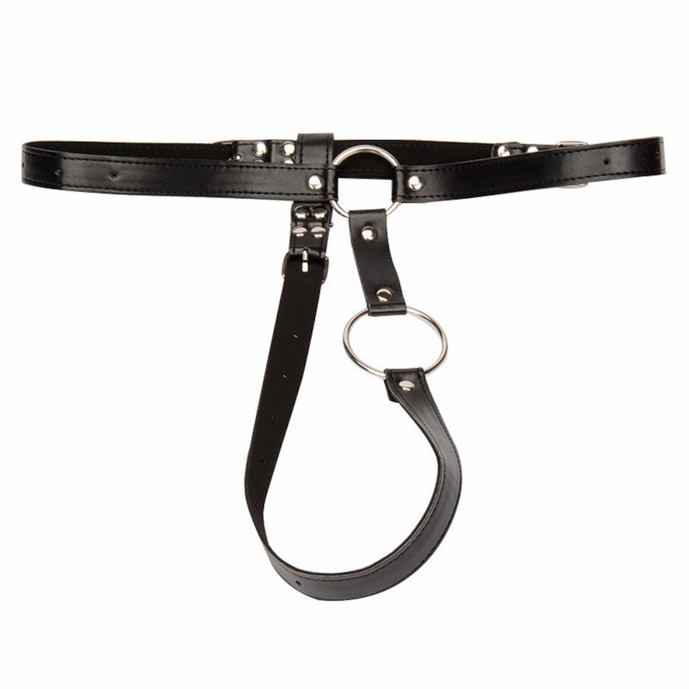 The Restraining Order Lock The Cock Cage Product For Sale Image 2