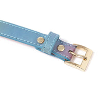 Mischievous Rainbow and Gold Leather Collar With Leash