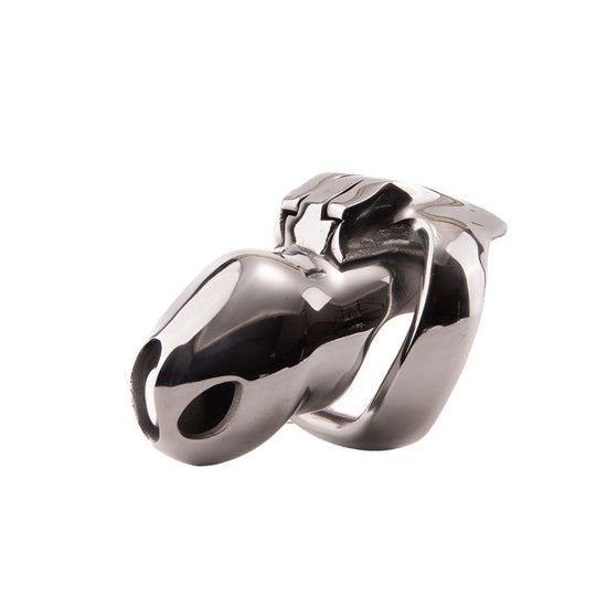 Steel Holy Trainer V4