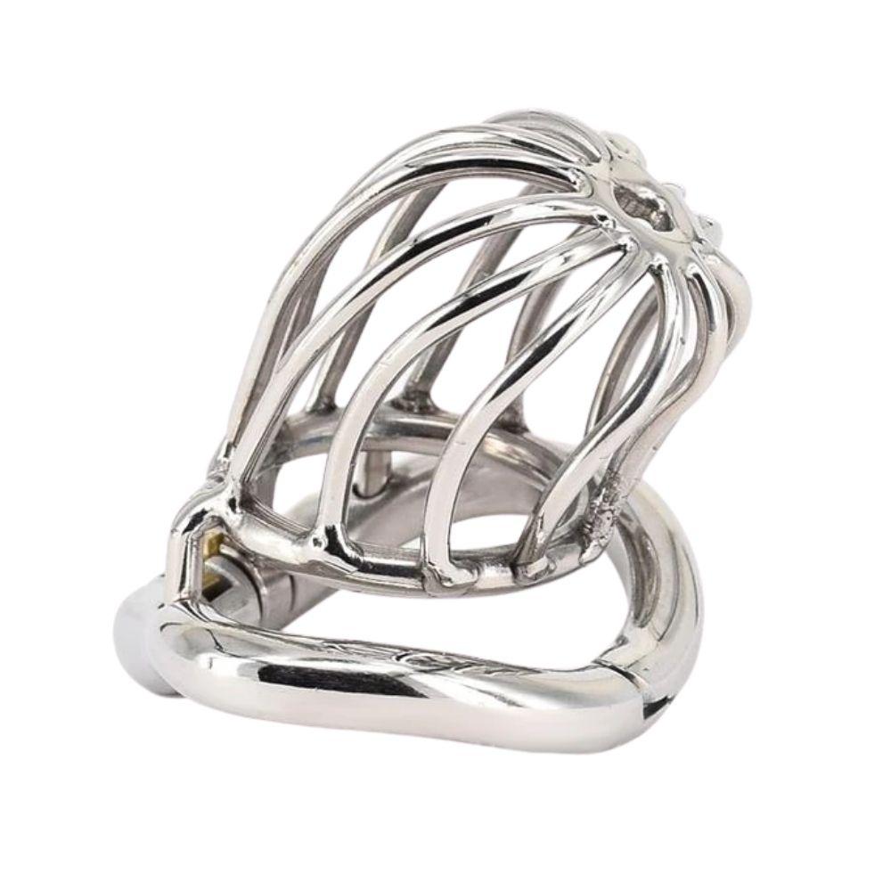 Elevate your summer list chores or shopping routine with the kit urethral device. Stay disciplined with a focus on control as you handle mail, maintaining dominance and submission dynamics.