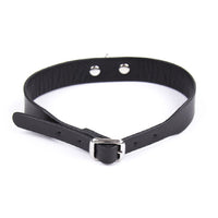 Bad Boy Sub Collar with Leash