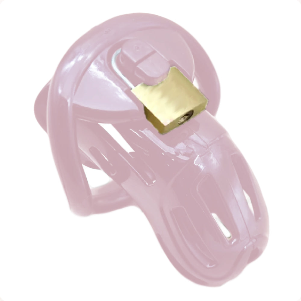Electro Urethral Plug Tormenter Lock The Cock Cage Product For Sale Image 2