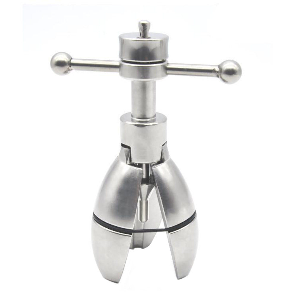 The Stretcher Locking Chastity Plug Lock The Cock Cage Product For Sale Image 4